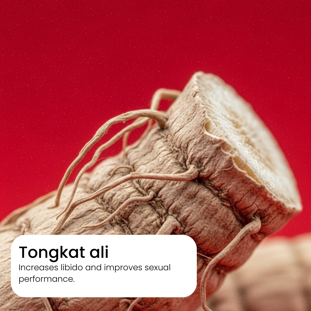 Natural Shilajit Honey